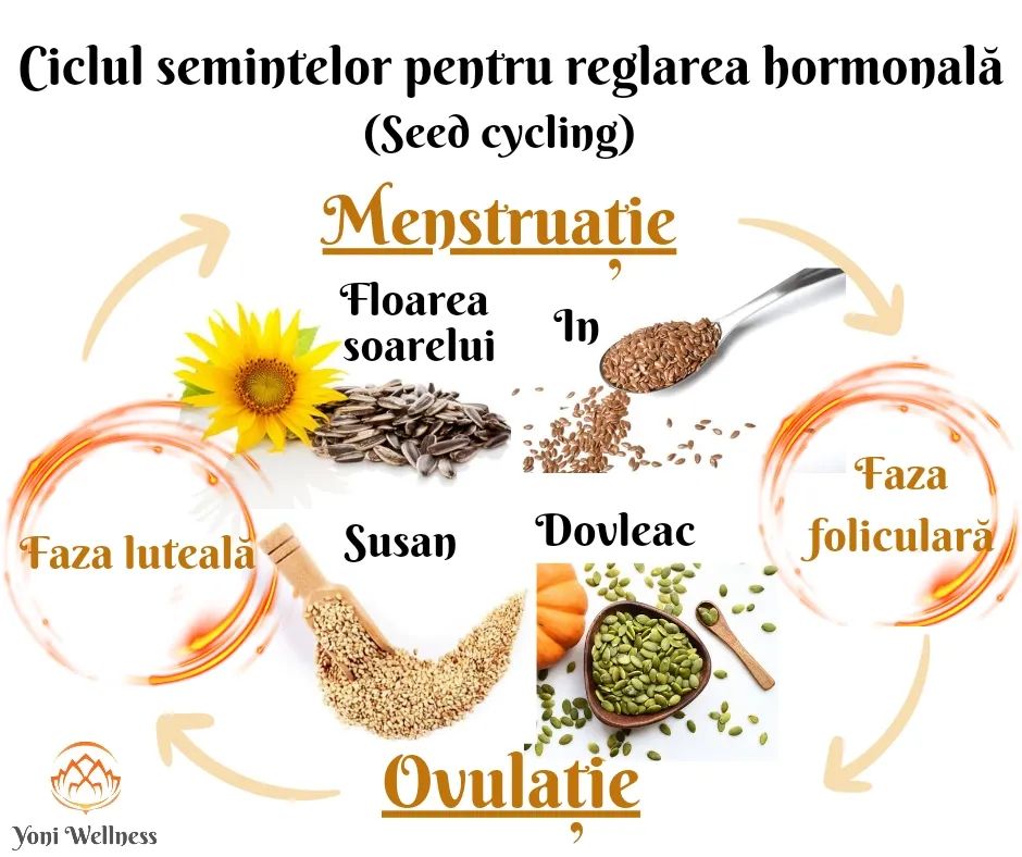 Ciclul semințelor – sau cum poți face un detox hormonal