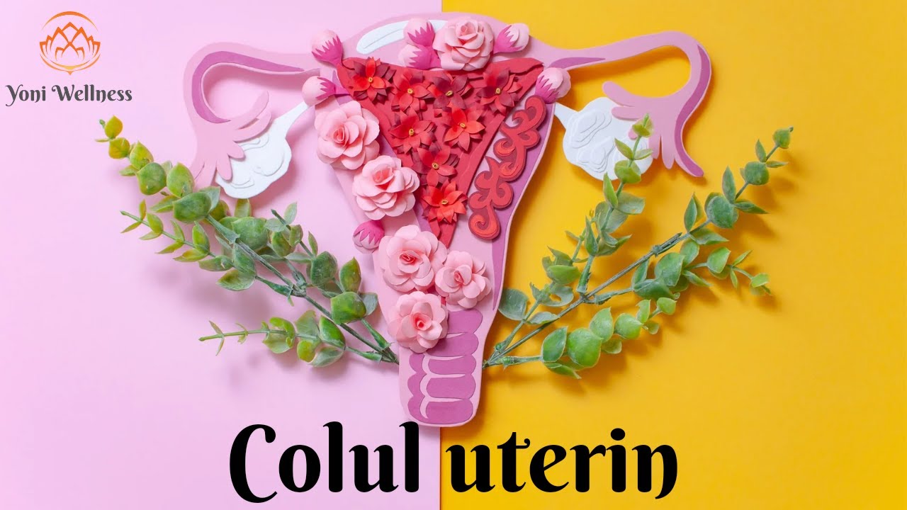 S2. Ep 26 - COLUL UTERIN - Ce este colul uterin ? Ce boli poate dezvolta şi cum se ajunge la cancer?
