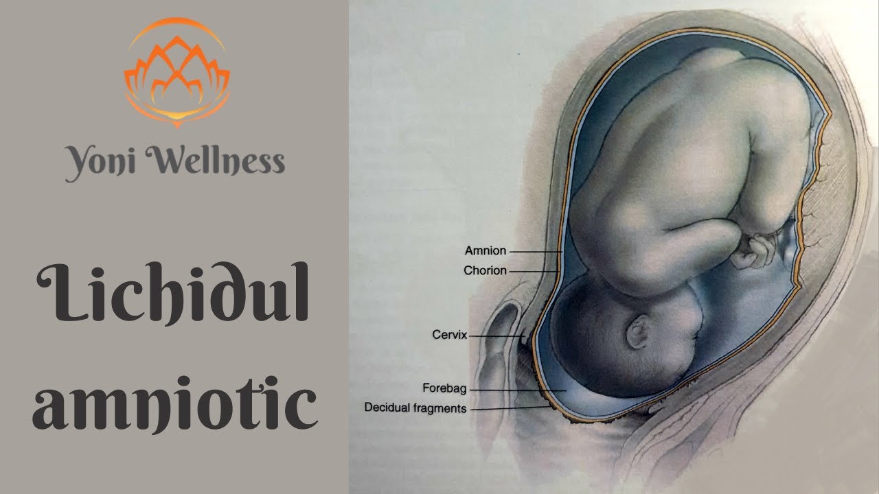 S1.Ep35: Lichidul amniotic | Rol & dinamică | Importanța la naştere | Amniotomia | Corioamniotita